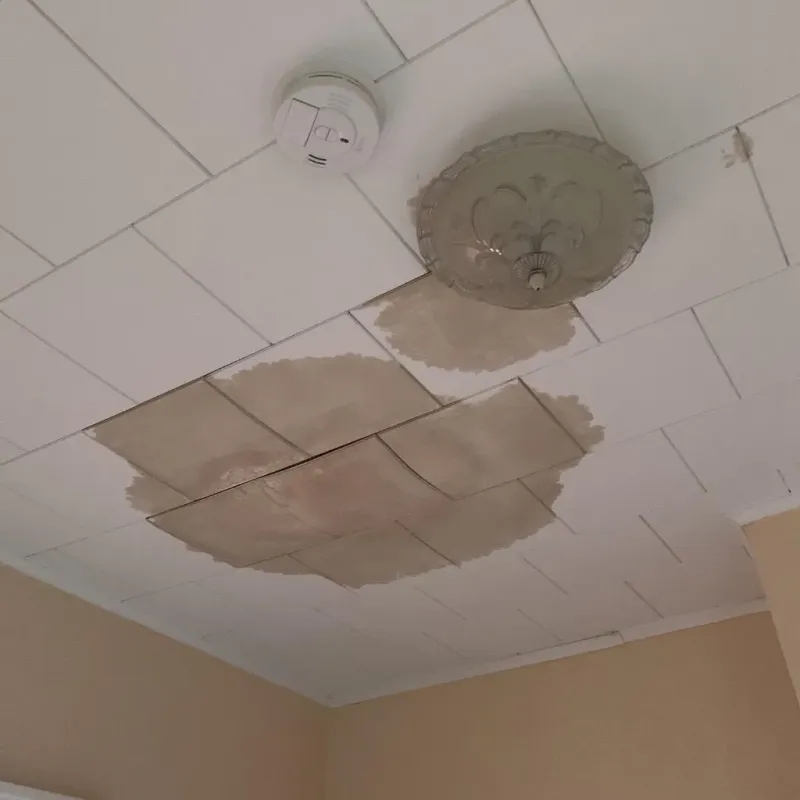 Ceiling Water Damage Repair in Red Oak, TX