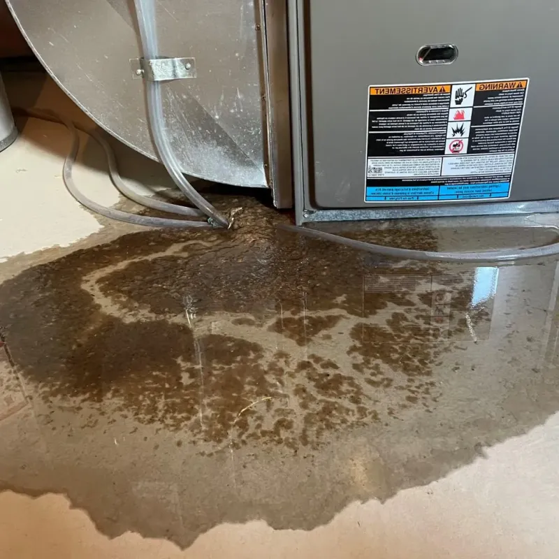 Pipe Burst and Leak Restoration in Red Oak, TX