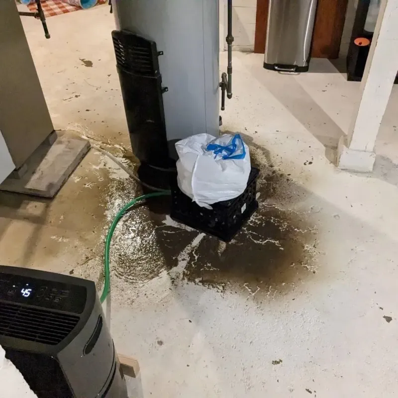 Sewage Backup Cleanup Service in Red Oak, TX